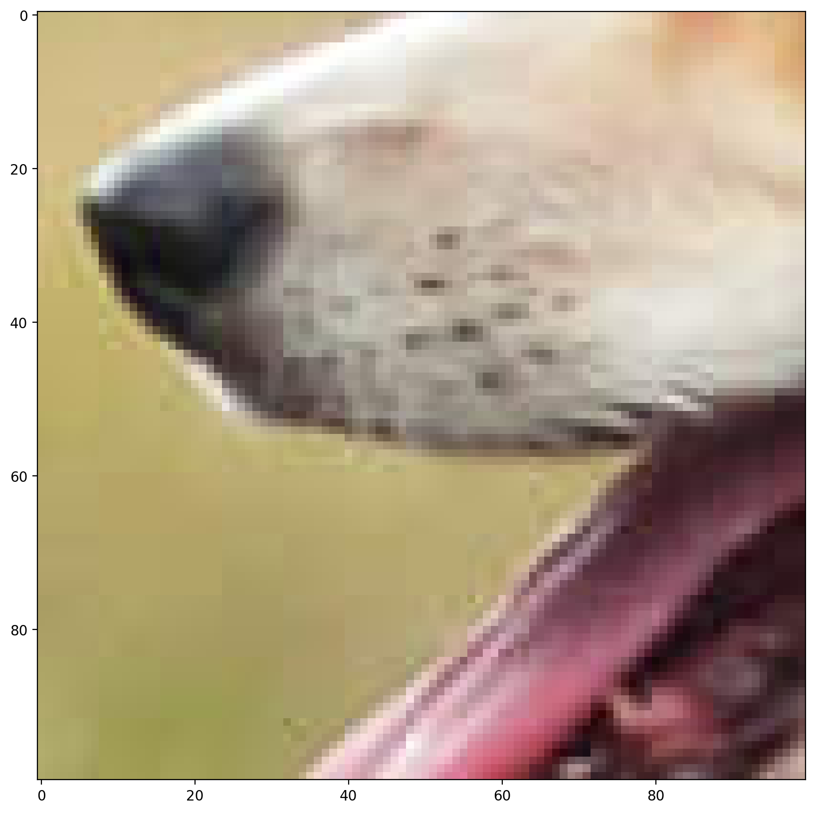 dog_img